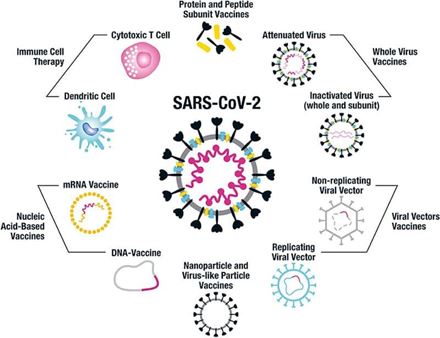 Vaccine COVID-19, chìa khóa trong phòng chống dịch do SARS-CoV-2